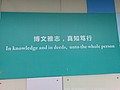 IMAG0039_BURST001.jpg