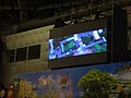 DSC08762.JPG