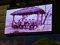 DSC08777.JPG
