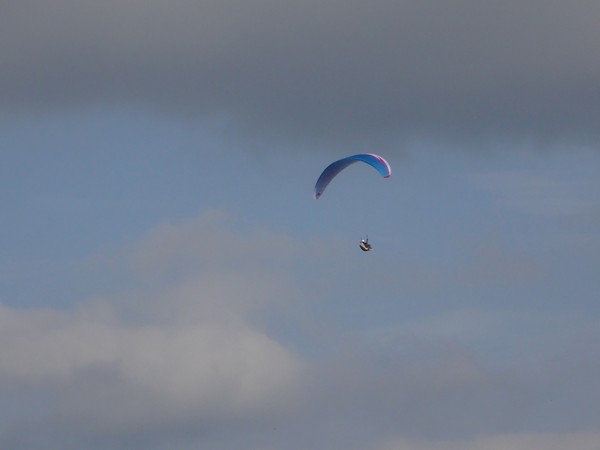 DSC08807.JPG