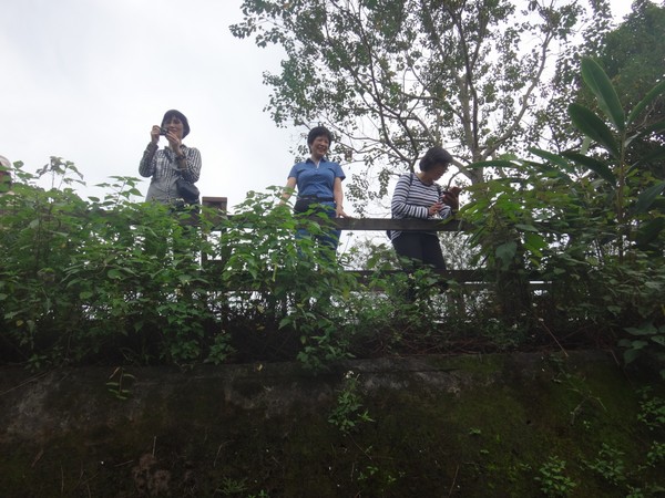 DSC08870.JPG