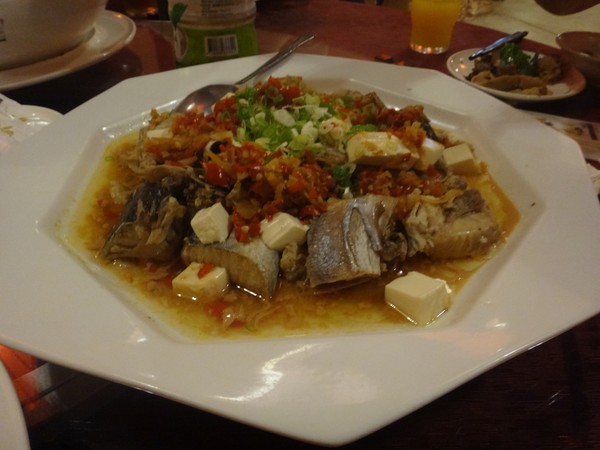 DSC08960.JPG