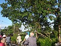 DSC08818.JPG