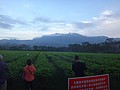 DSC08826.JPG