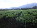 DSC08827.JPG