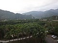 DSC08843.JPG