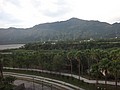 DSC08844.JPG