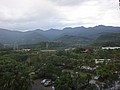 DSC08845.JPG