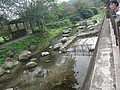 DSC08860.JPG