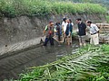 DSC08866.JPG