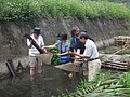 DSC08867.JPG