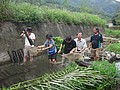DSC08869.JPG
