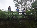 DSC08870.JPG