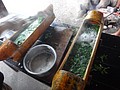 DSC08888.JPG