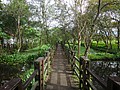 DSC08900.JPG