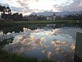 DSC08941.JPG