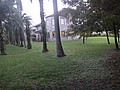 DSC08953.JPG