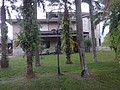 DSC08955.JPG