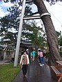 DSC09013.JPG