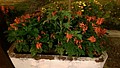 170104_0040.jpg
