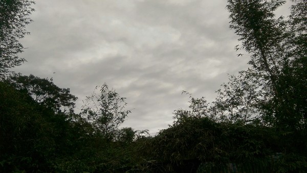1486025946126.jpg