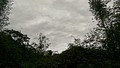 1486025946126.jpg
