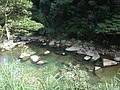 DSC09351.JPG