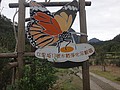 DSC09374.JPG
