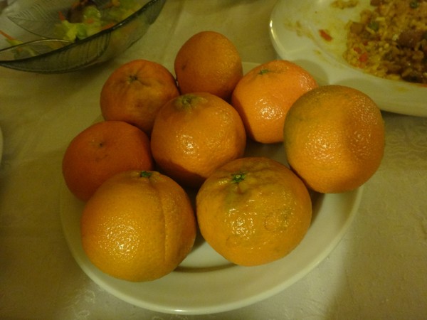 DSC09562.JPG