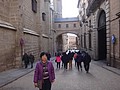 DSC09625.JPG