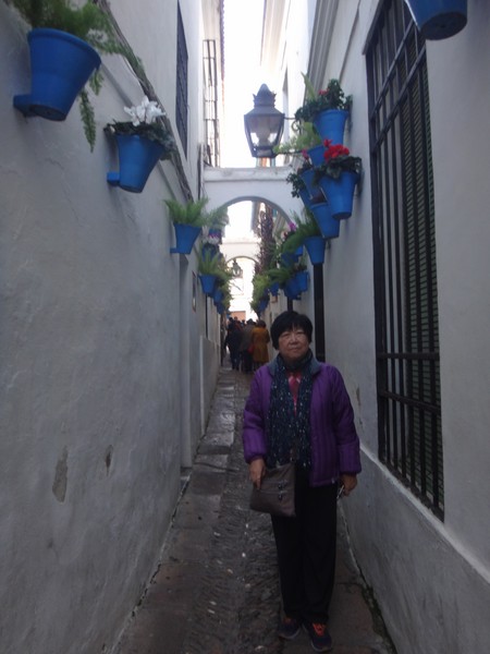 DSC09708.JPG