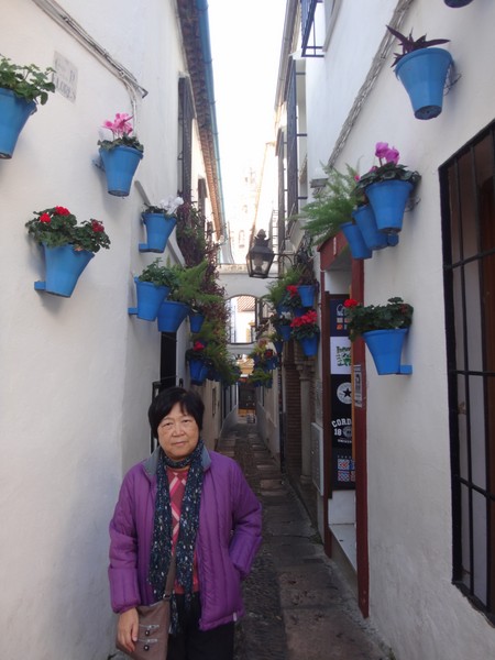 DSC09717.JPG