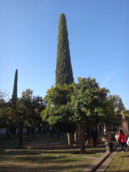 DSC09722.JPG