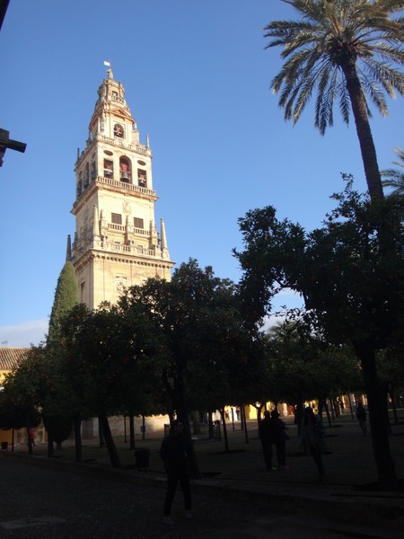 DSC09728.JPG