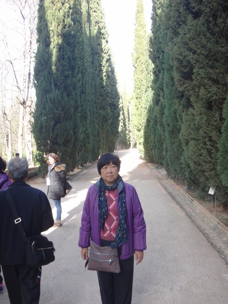 DSC09802.JPG