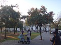 DSC09690.JPG