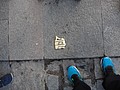 DSC09694.JPG