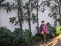 DSC09699.JPG
