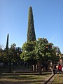 DSC09722.JPG