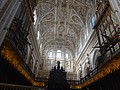 DSC09747.JPG