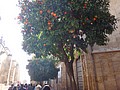 DSC09786.JPG