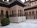 DSC09847.JPG