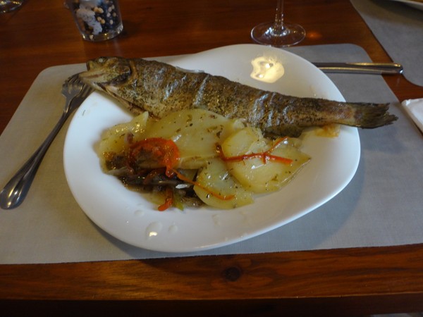 DSC09895.JPG
