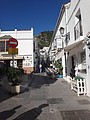 DSC09872.JPG