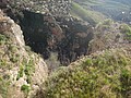 DSC09921.JPG