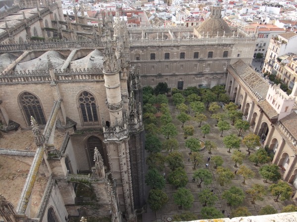 DSC10039.JPG