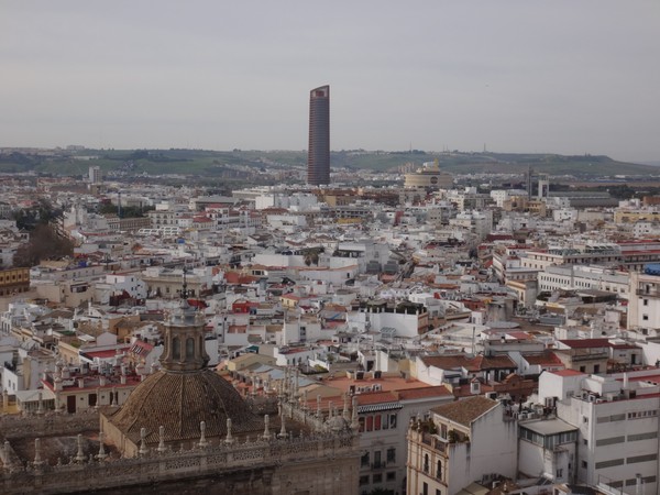 DSC10042.JPG