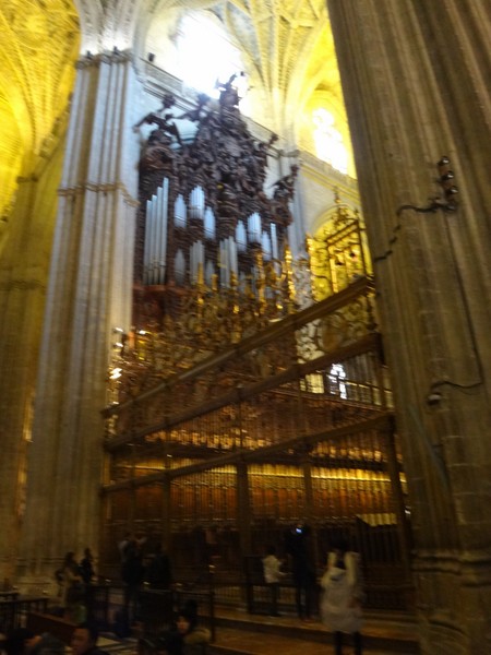 DSC10050.JPG