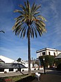 DSC09957.JPG