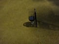 DSC09986.JPG